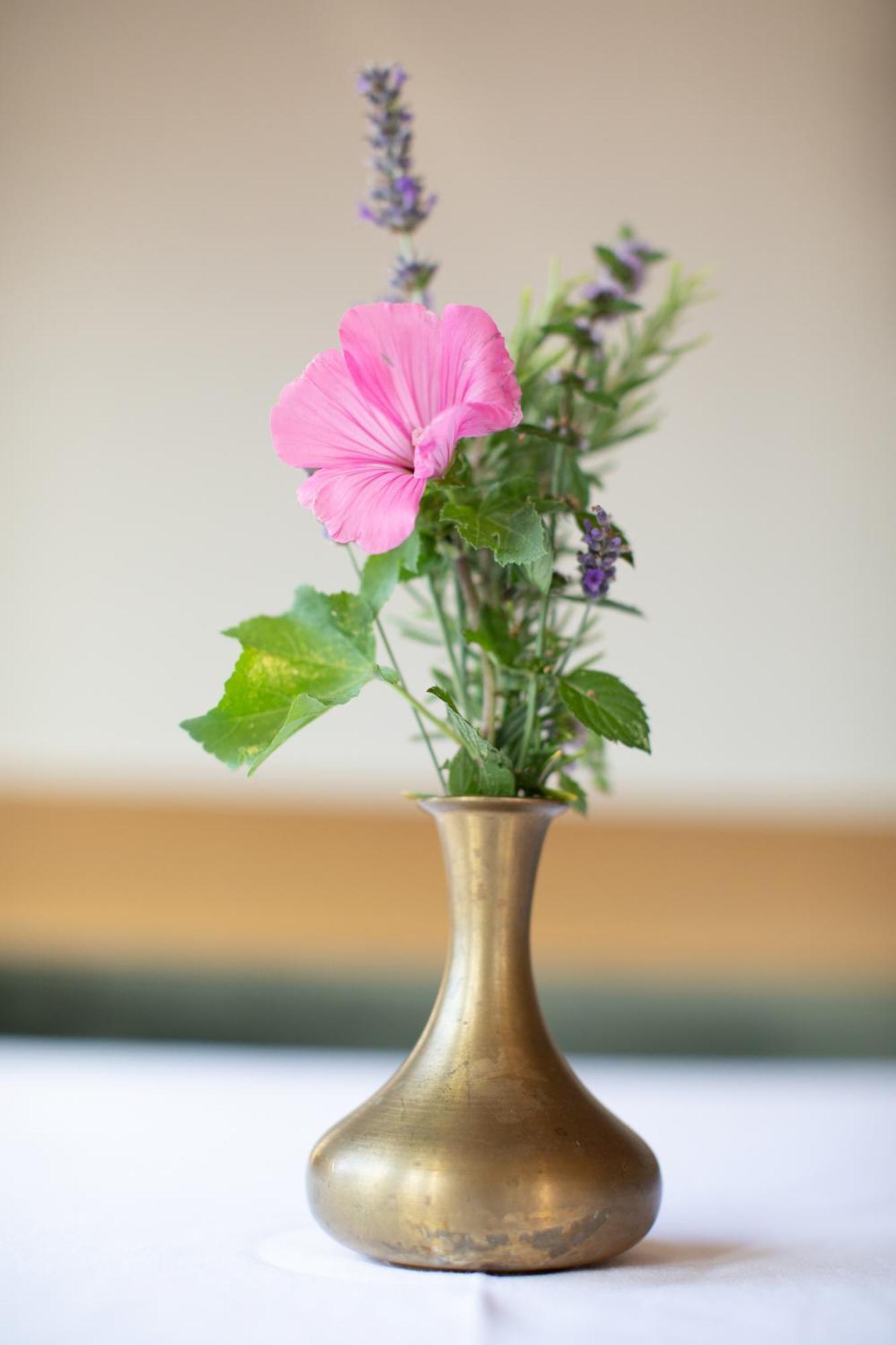 티롤로 Noessinghof B&B 외부 사진